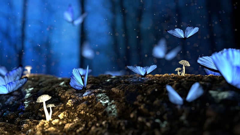 Enchanted Forest Tiers